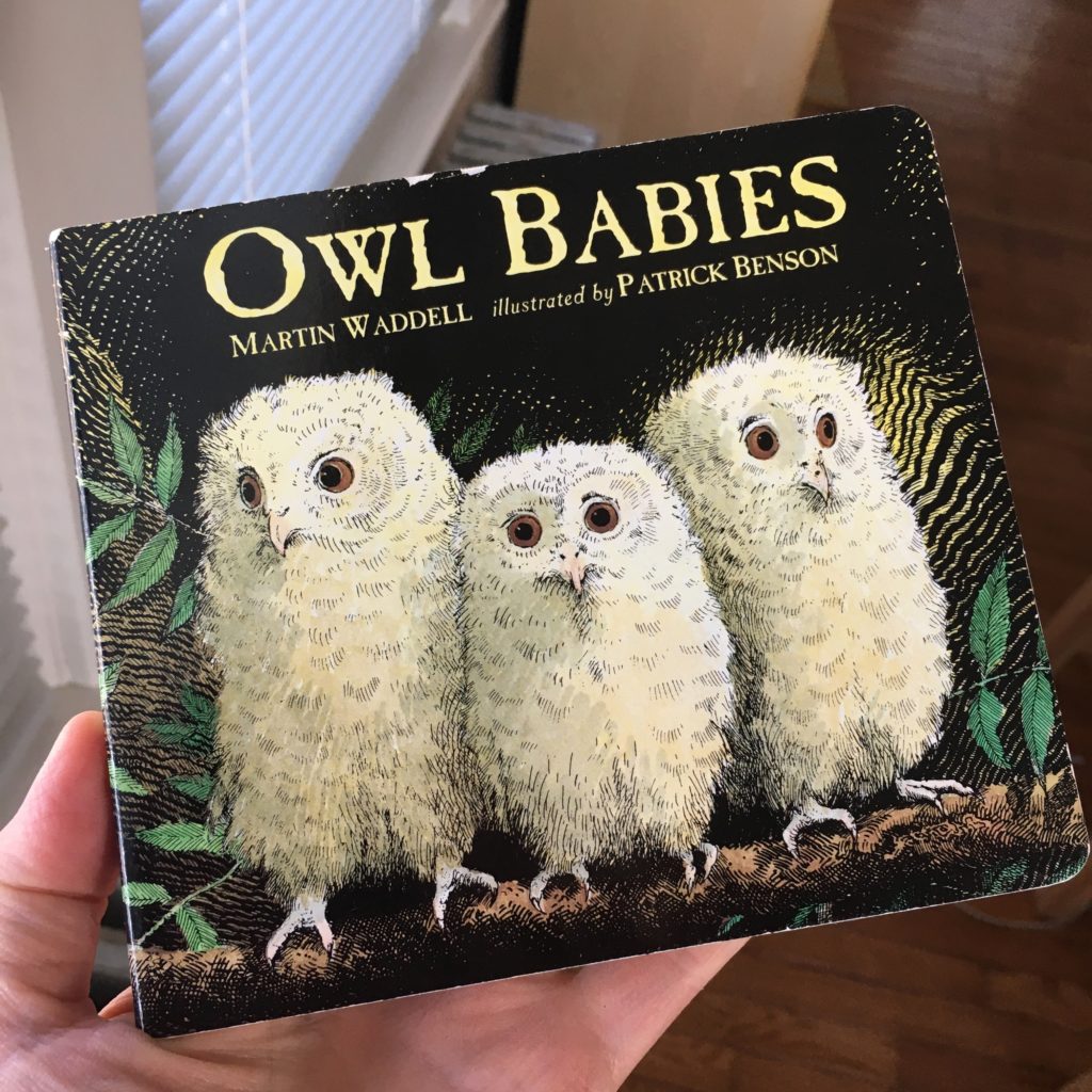 Owl Babies