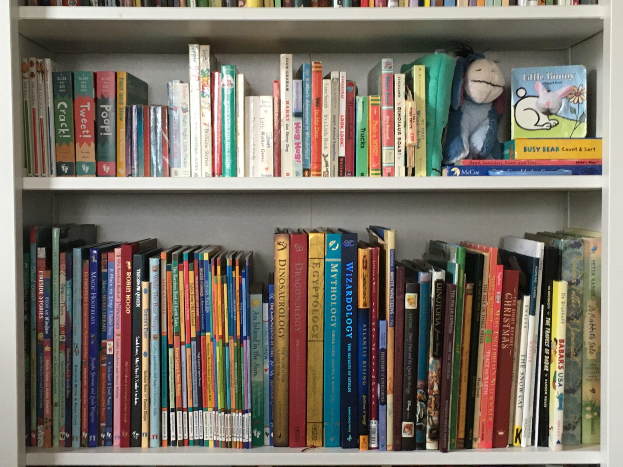 Shelf of children's books in a home library