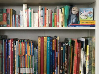 Shelf of children's books in a home library