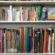 Shelf of children's books in a home library