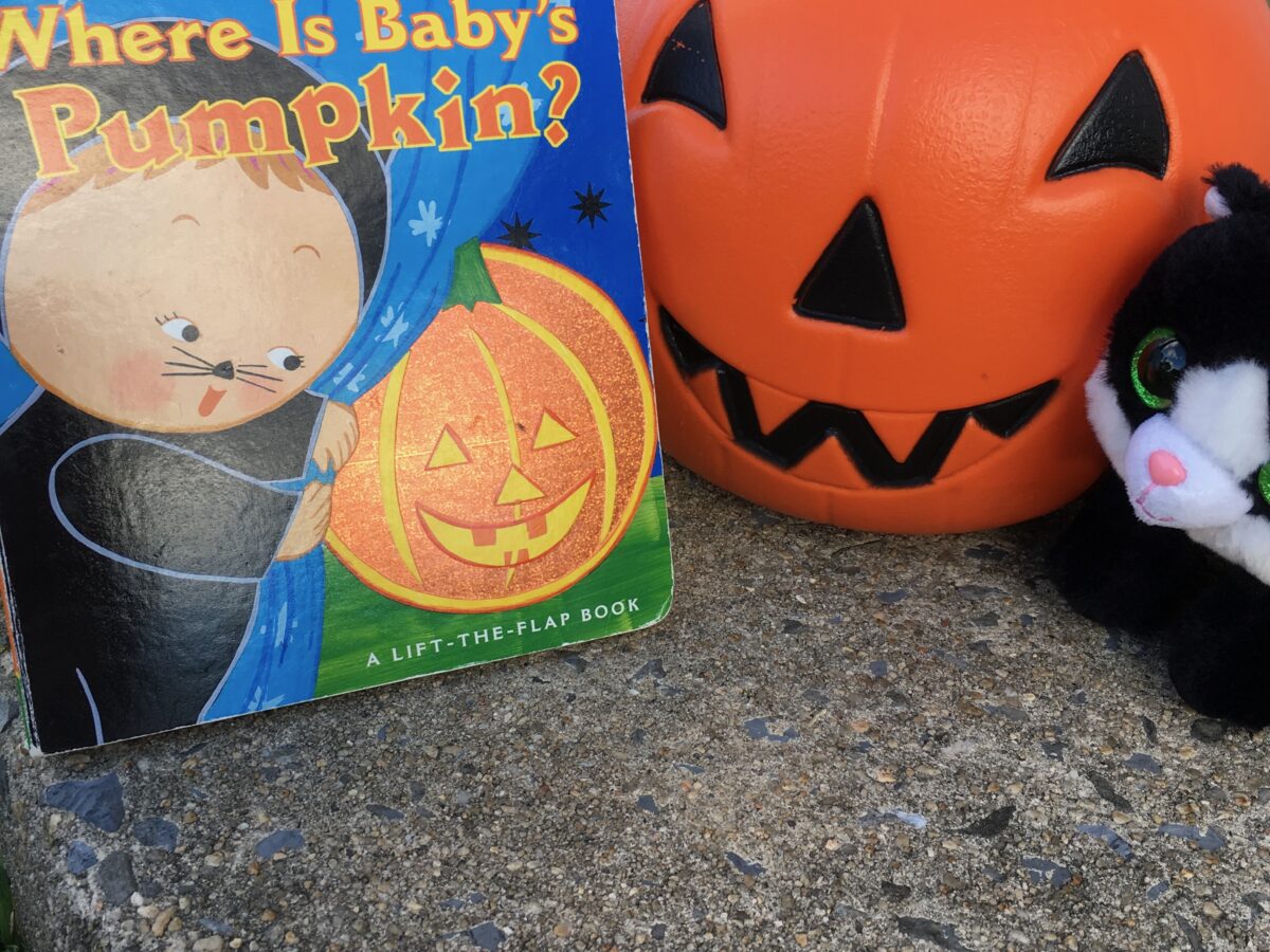 Where Is Baby's Pumpkin - Beehive Books and Art