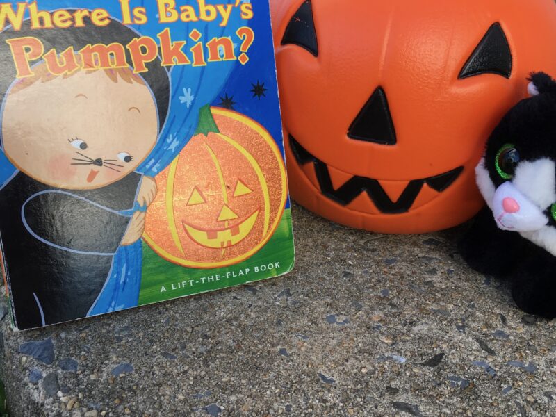 Where Is Baby's Pumpkin