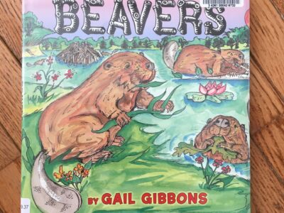 Beavers by Gail Gibbons