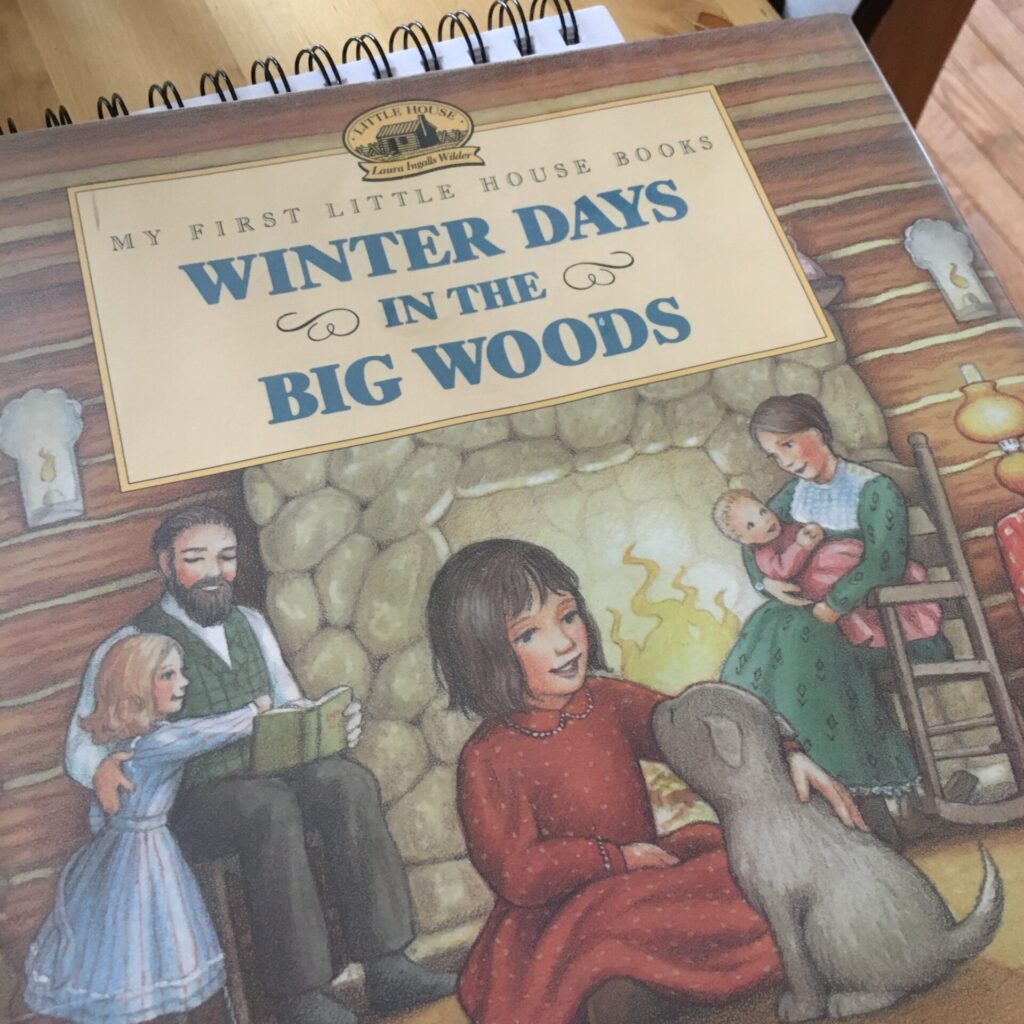 Shows the cover of the book Winter Days in the Big Woods