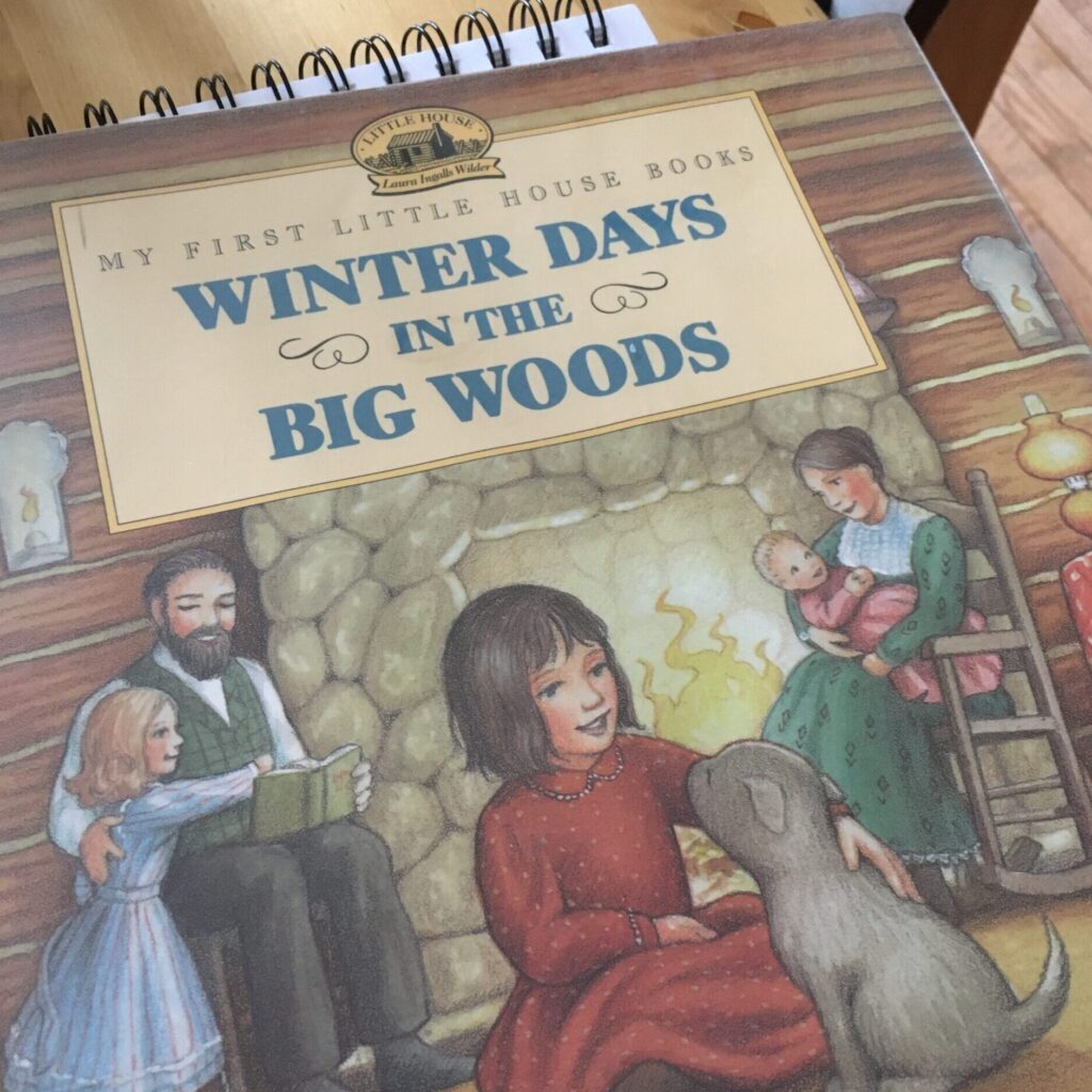 Shows the cover of the book Winter Days in the Big Woods